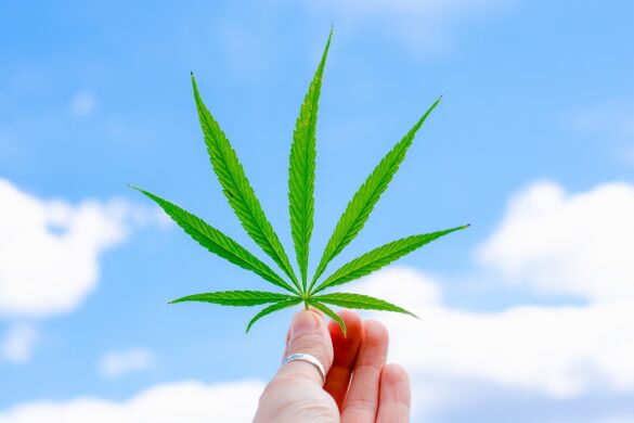 CBD Risks and Side Effects
